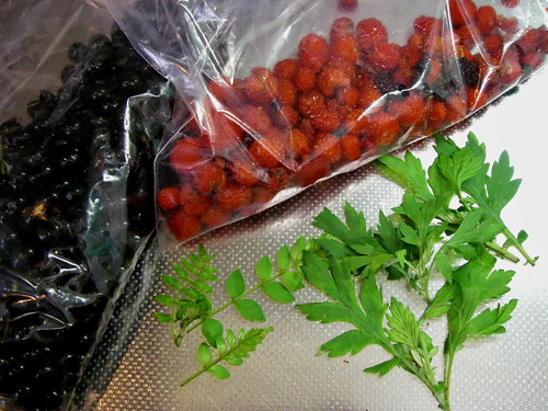 Berries and herbs