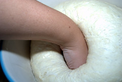 Punching the Bagel Dough