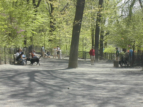 Riverside Park/ Dog Run