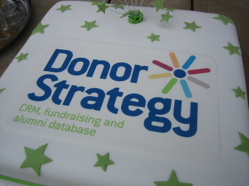 Donor Strategy cake