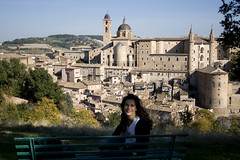 ellelle ad Urbino