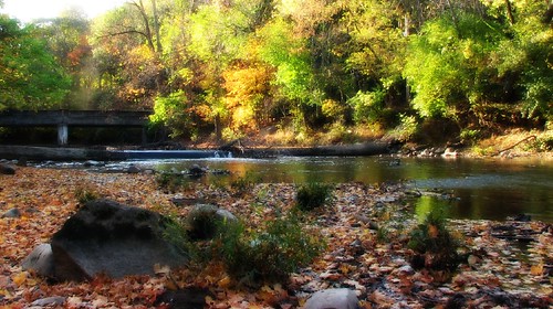 passaic river in fall