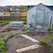 Our new salad bed and strawberry patch