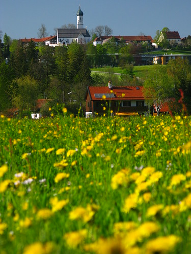 solaranlage Dandelion Spring Bayern Germany picture photo bild