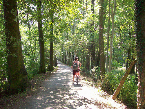 biking in Spreewald Biosphere Reserve, Germany (by: R. Sohmer)