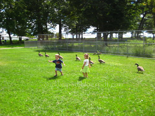 Running with the Geese