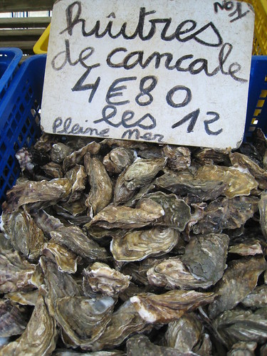 Oysters in Cancale