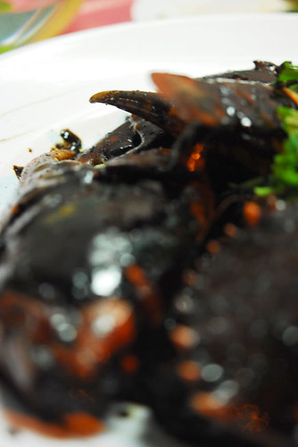 Black pepper crab - DSC_4193
