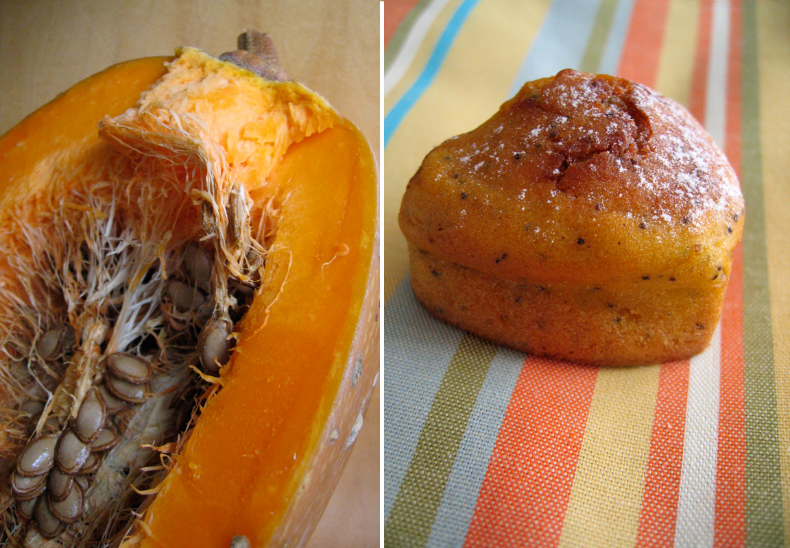Pumpkin Poppy Seed Muffins