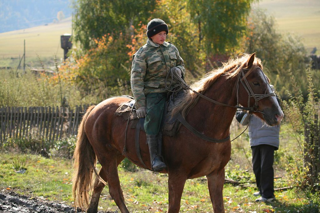 : Horse rider (Altay region)
