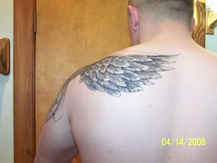 wings tattoos,tattoo gallery,design tattoo