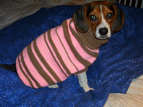 Bella's Sweater