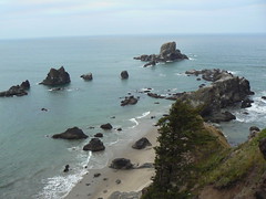 View from  Sea Lion Rocks overlook