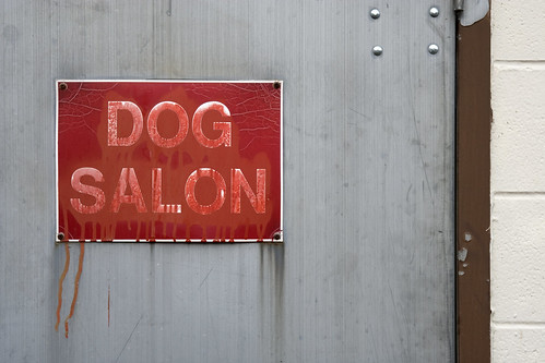 Dog Salon par splorp