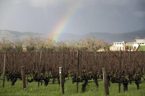 Rainbow for Wine Country