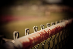 Day 116 | Hearts on the Fence