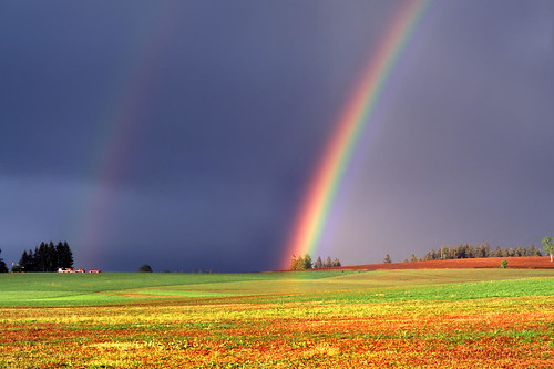 desktop wallpaper rainbow. Desktop Wallpaper: Rainbow Nature Wallpaper