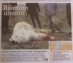 No polar bears allowed in Iceland!