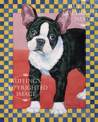 "Stepping Out" AER86 by A E Ruffing Boston Terrier