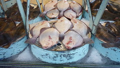 fish market ostende