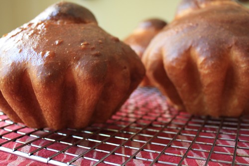 Brown Brioche Cools Completely