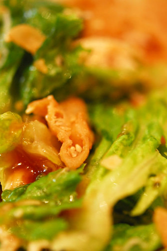 Chinese Chicken salad - DSC_0860