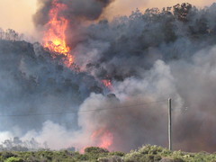 Bushfire at Sisters Beach 3, Tasmania, 19/10/08