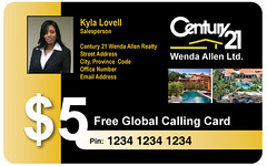 Biz Calling Cards- Sample Business Card2 by bizzmentor