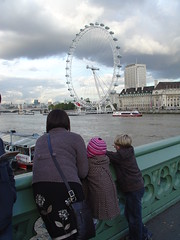 The view from Westminster Bridge