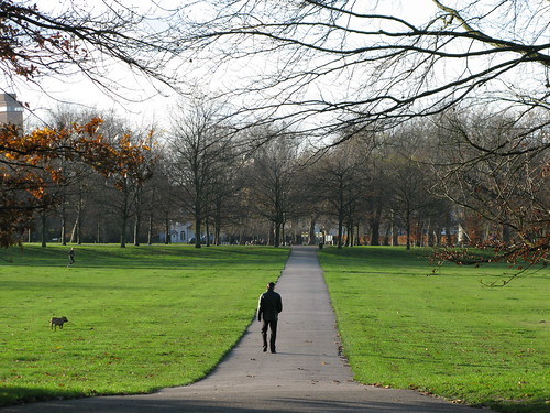 Man in Park