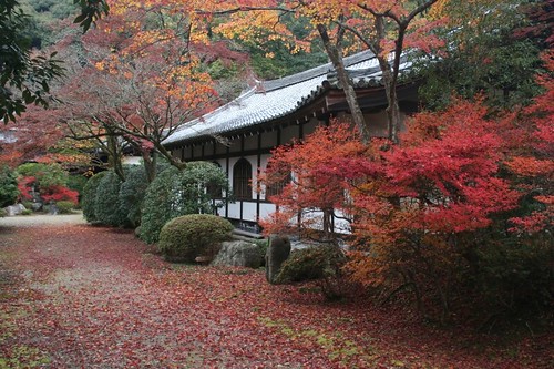 Daigo temple 2