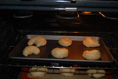 Bagels Baking