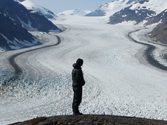 Salmon Glacier , Hyder