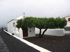 Lanzarote, zona vinicola de La Geria