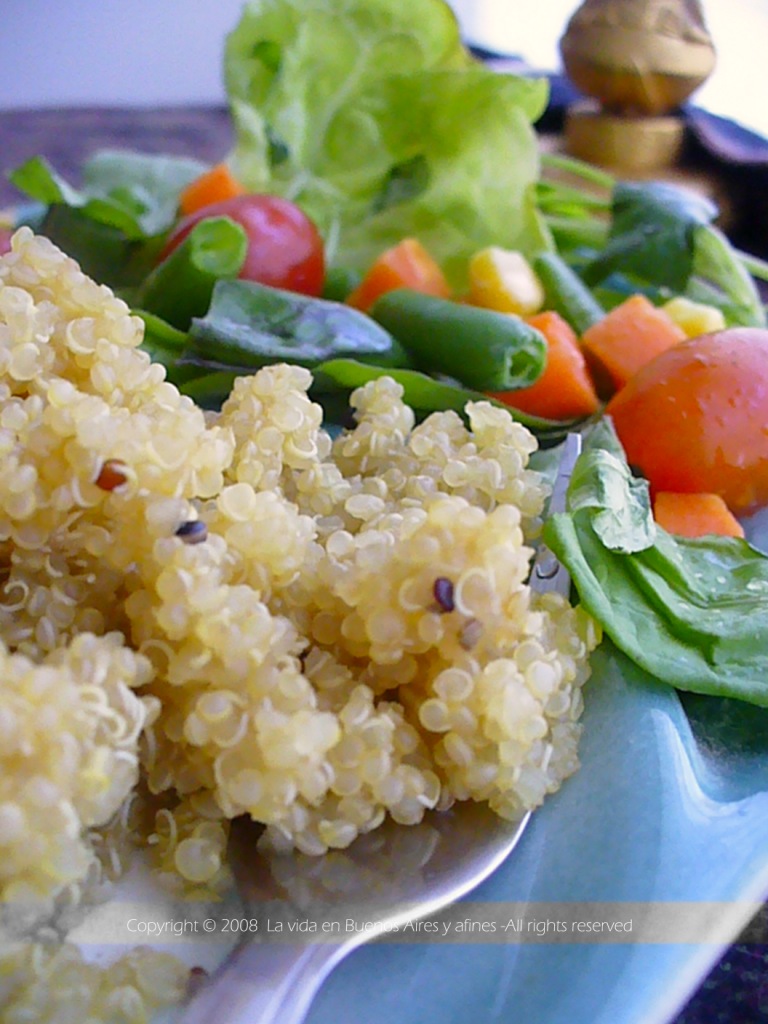 Quinoa risotto & Fresh salad