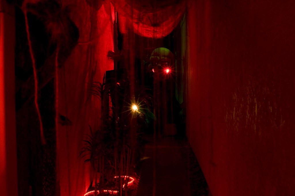 Haunted Hallway II