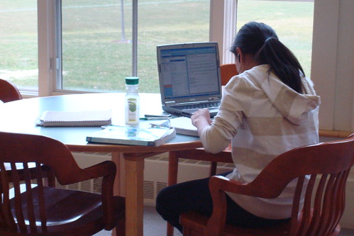 Laptop studying by Pesky Library, on Flickr