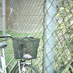 【写真】ミニデジで撮影した自転車