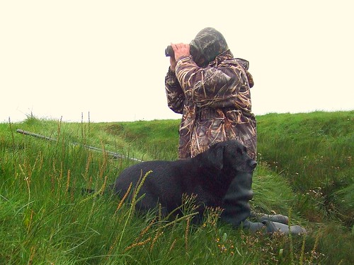 Wildfowling - 5th September