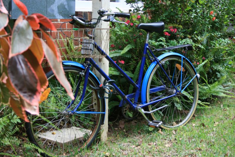 blue bike 1