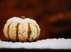 Frost on the pumpkin