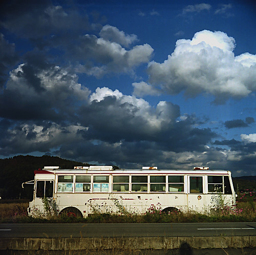A Bus with cosmos