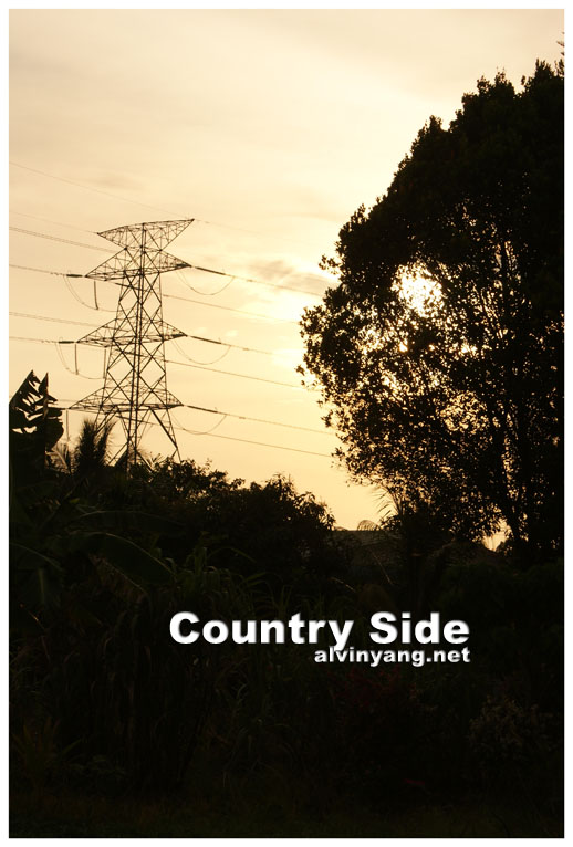 Country Side