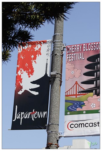 2008 SF Cherry Blossom 4503