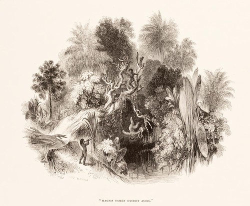 engraved jungle scene - trumpet orchid