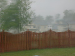 Storm in the Backyard