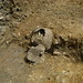 David's cremation [1298] and skull [1299]
