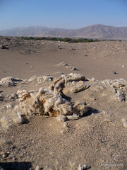 Ancient textiles in the desert sands