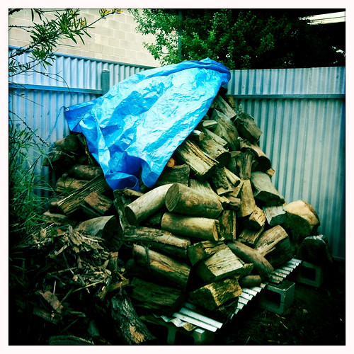 This pile of wood was in the driveway till I moved it. Day 168/365.