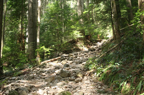 Lynn Peak trail